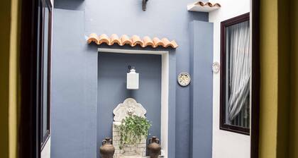CASA LA DAMA DE ARUCAS
