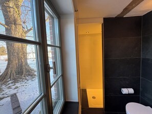 Shower, hair dryer, bidet, towels