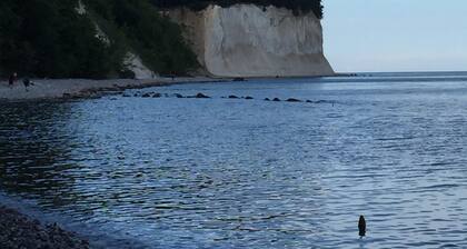 Vanha kunnostettu talo, noin 1840 korkeatasoisesti Boddenblick