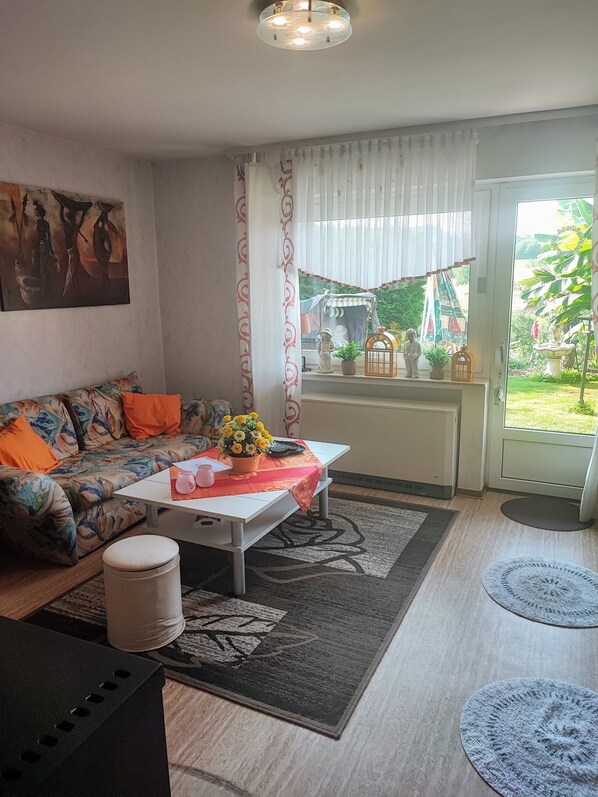 Smart TV, fireplace, DVD player, books
