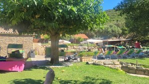 Un espace aménagé au bord de la piscine, avec des chaises longues, un arbre et un mur en pierre.