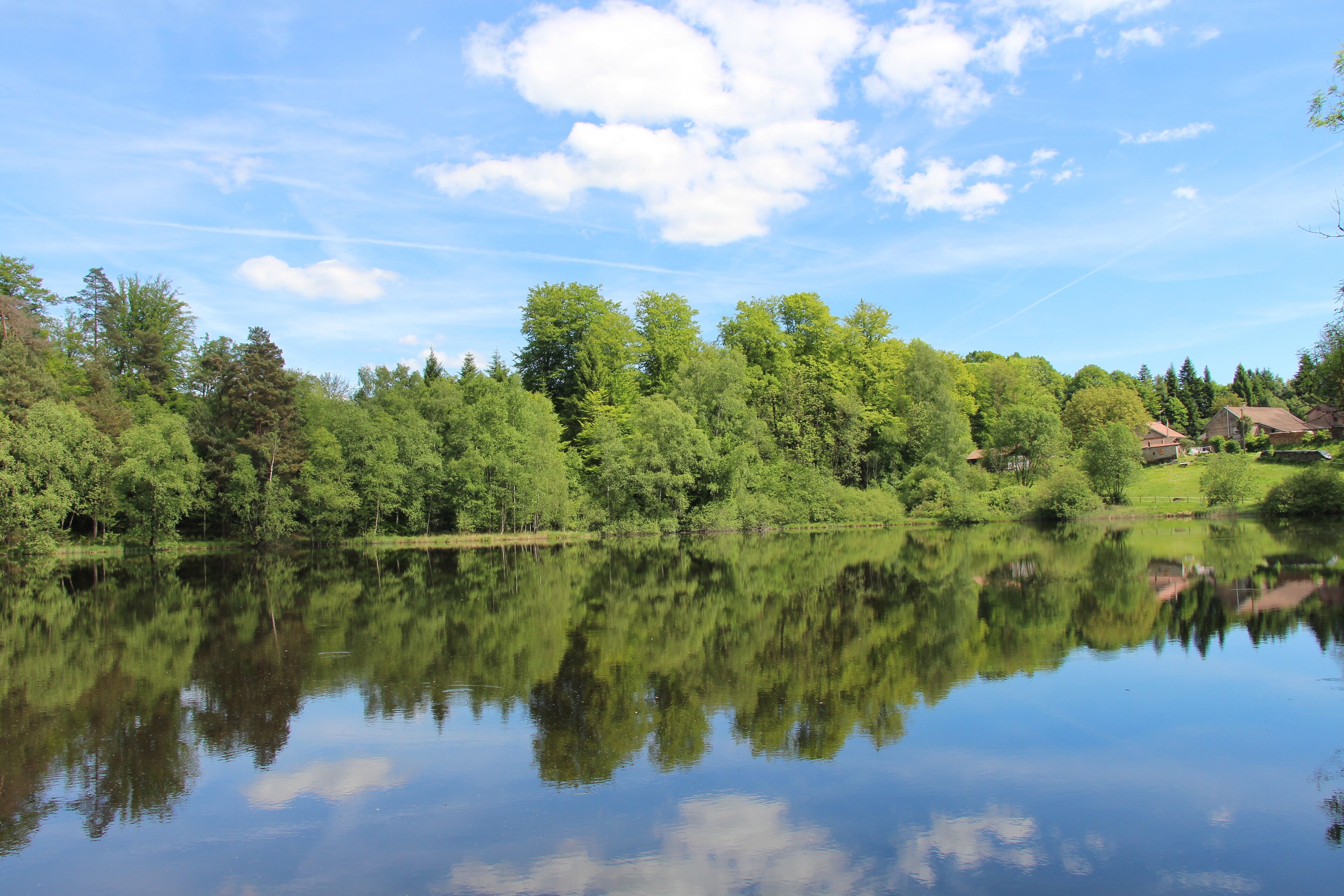 A calm lake with reflections of trees and houses, surrounded by greenery and a clear sky.