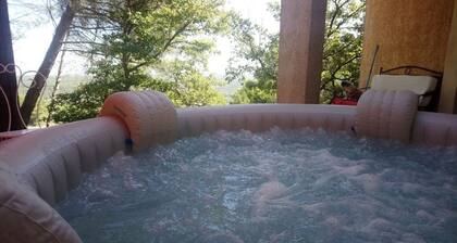 Villa 250 m2 sur 4000 m2 de pinĂšde , jacuzzi 6 places, piscine
