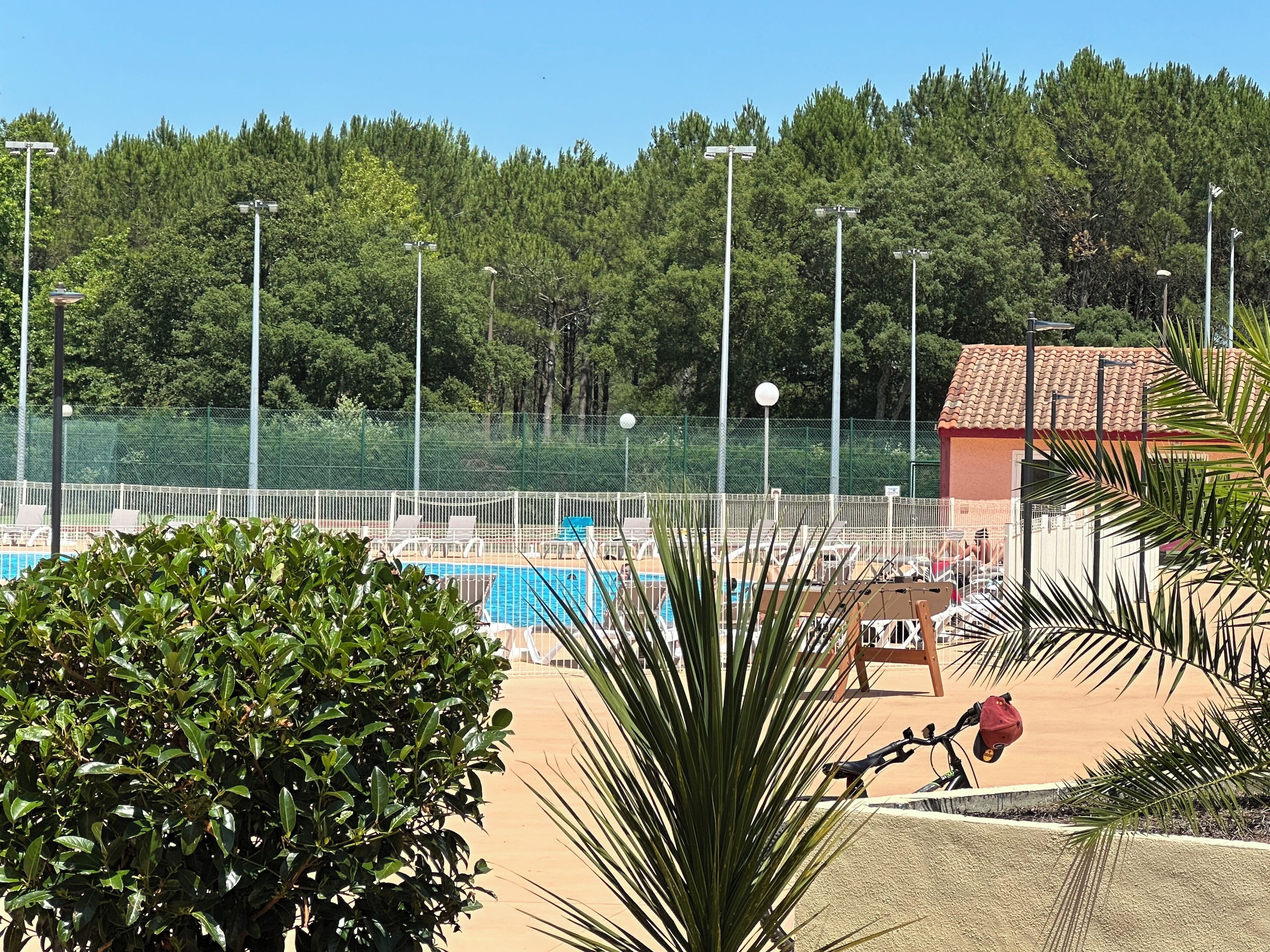 Sportveld