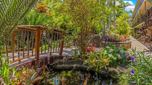 A garden with a small pond, a wooden bridge, and various plants and flowers.