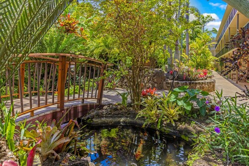 Prince Kuhio 235 - Ocean View Studio