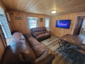 Smart TV, fireplace, books