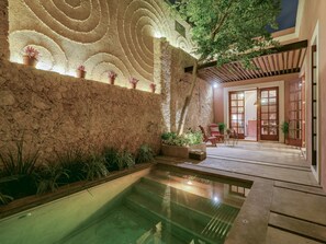 Outdoor pool - Casa Osito, Santiago Architectural Masterpiece (Centro)
