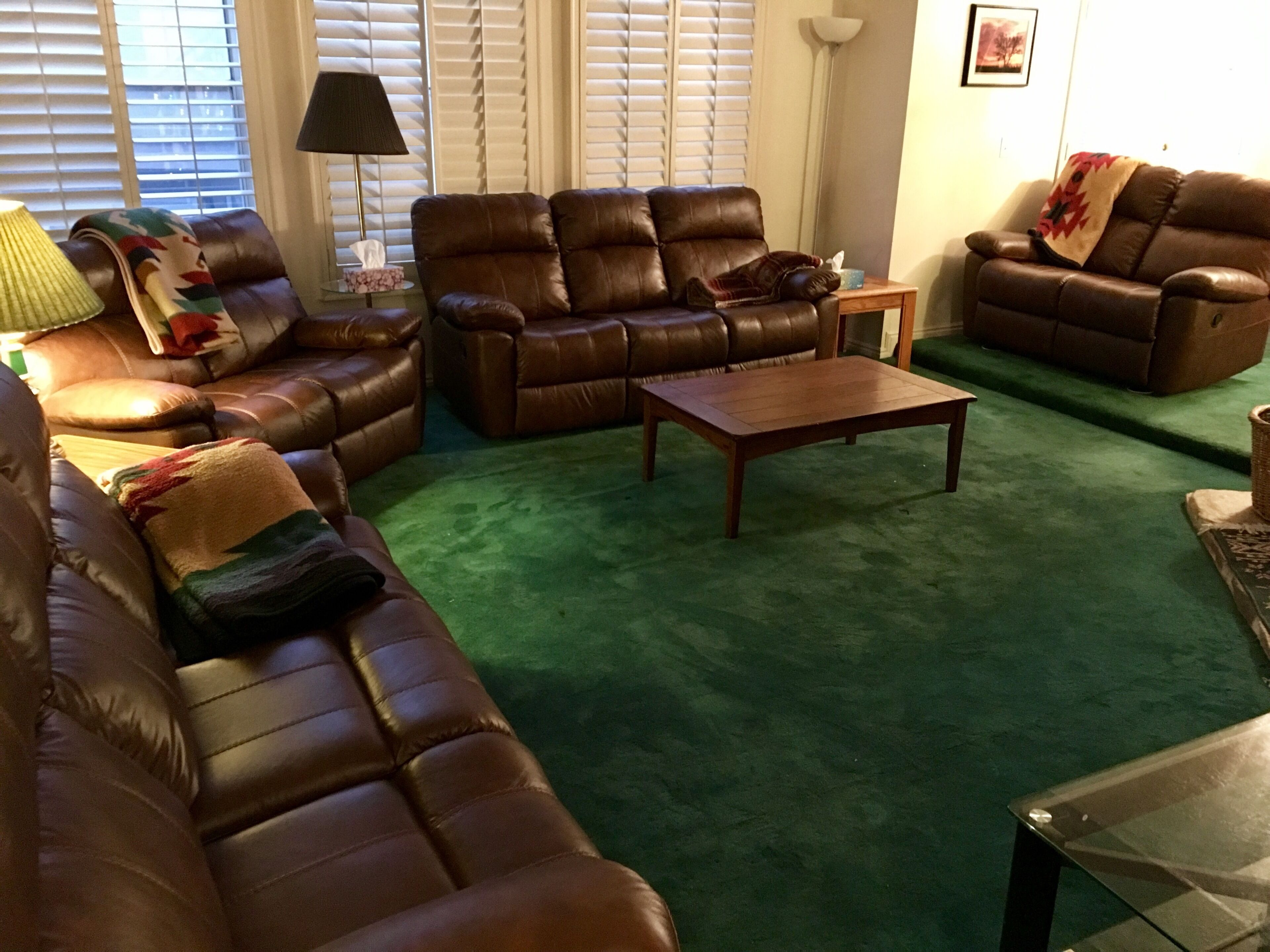 A living room with a brown leather sofa, a wooden coffee table, and a green carpet.