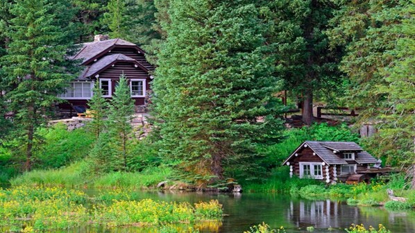 A cabin surrounded by dense forest and a lake.