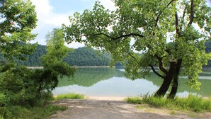 Un sendero de grava que conduce a un lago, con árboles a ambos lados.