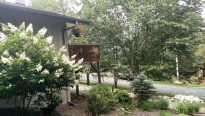 Un jardin agrémenté d’une pergola en bois, de divers arbustes et d’un petit arbre.