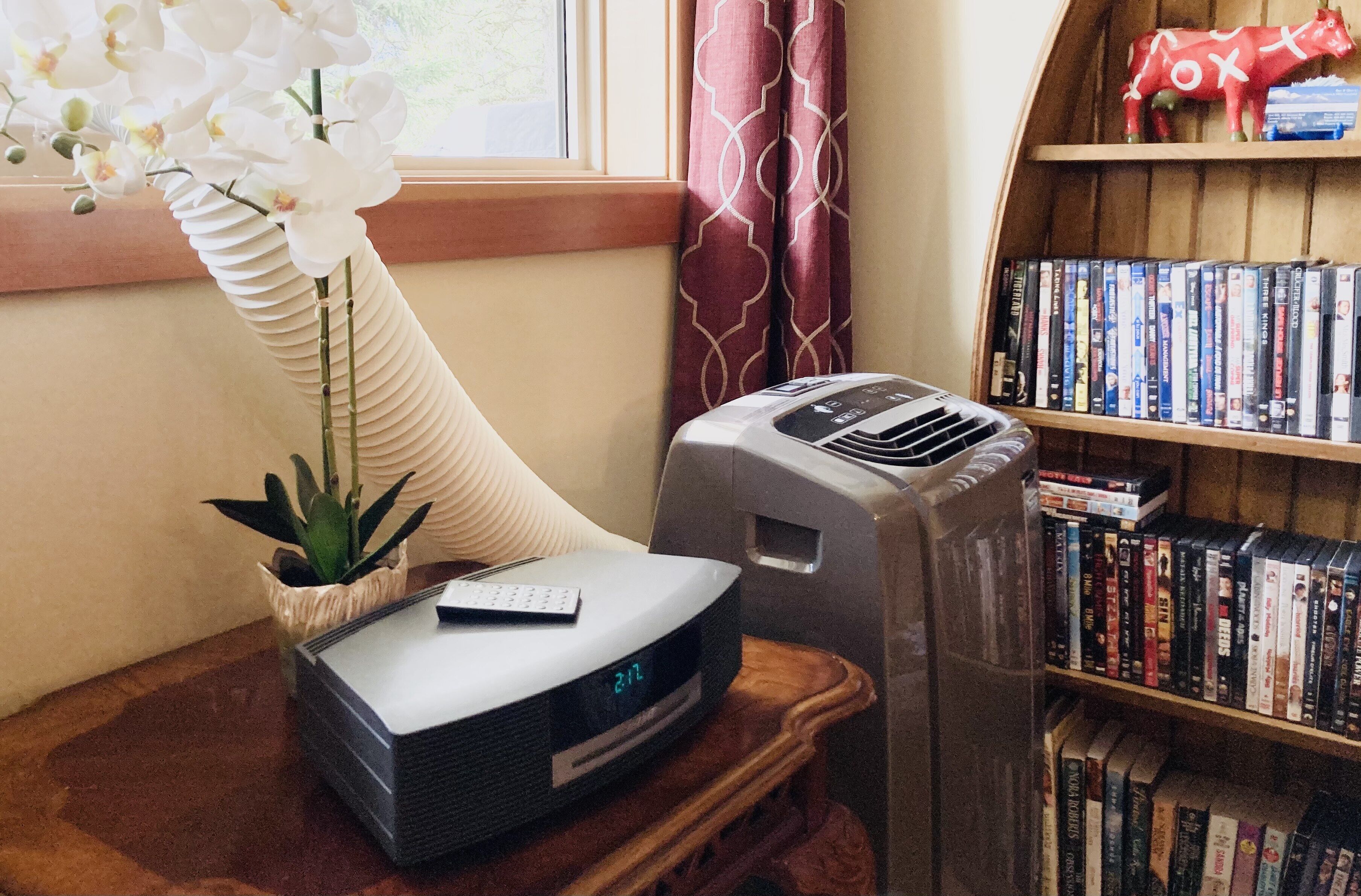 A room with a bookshelf, a radiator, a remote control, and a plant.