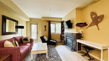 TV connectée, cheminée, lecteur de DVD, livres