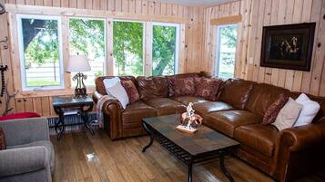 TV connectée, cheminée, livres, chaßne hi-fi