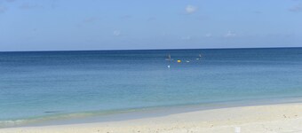 Prime Residence #7 on 7 Mile Beach, High-End Ground Floor Beachfront Condo