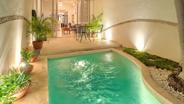 Une piscine dotée d’une terrasse carrelée, entourée de plantes en pot et d’un palmier.
