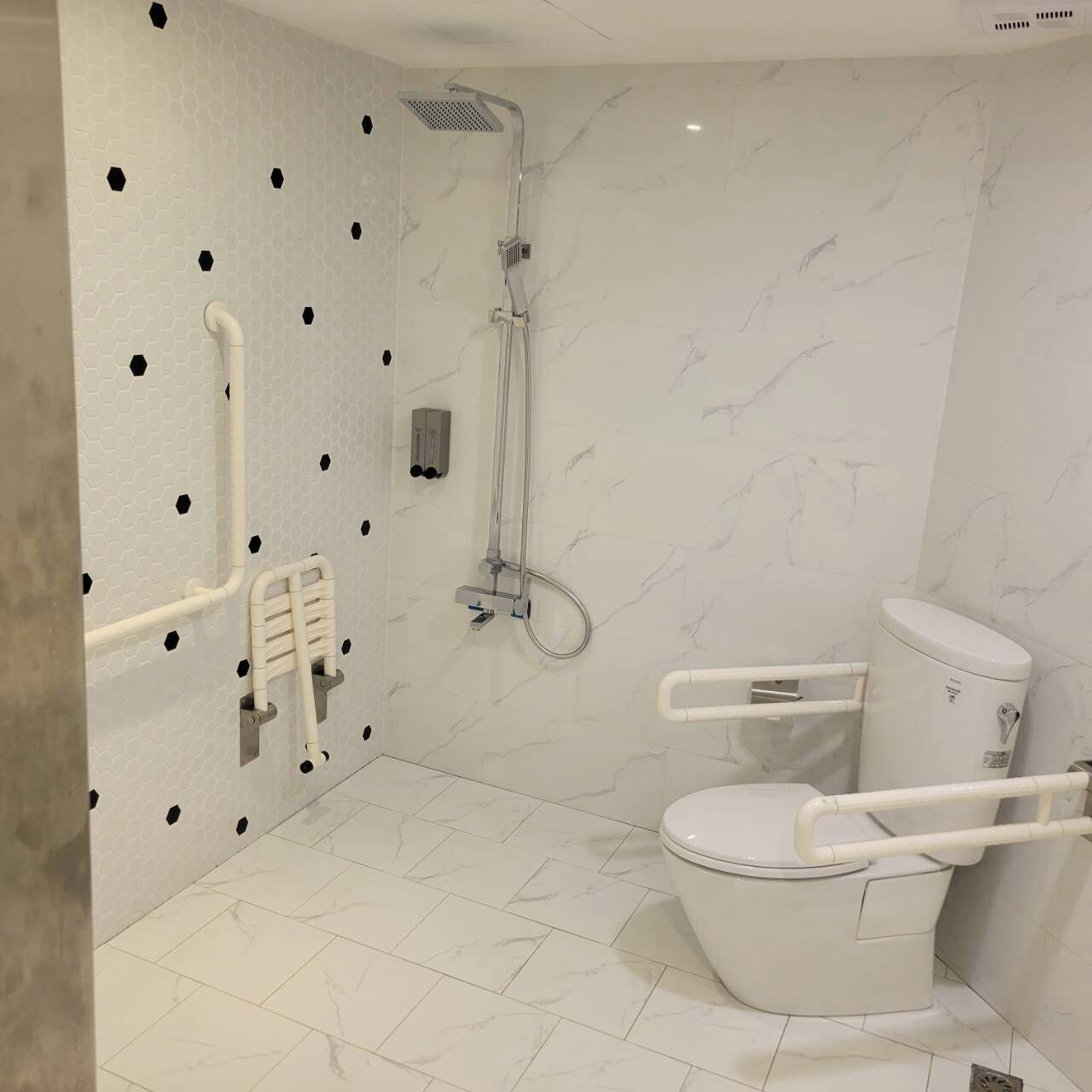 Ein modernes Badezimmer mit Dusche, Toilette und Haltegriffen.