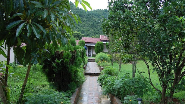 Un chemin menant à une maison entourée d’une végétation luxuriante, avec une colline en arrière-plan.