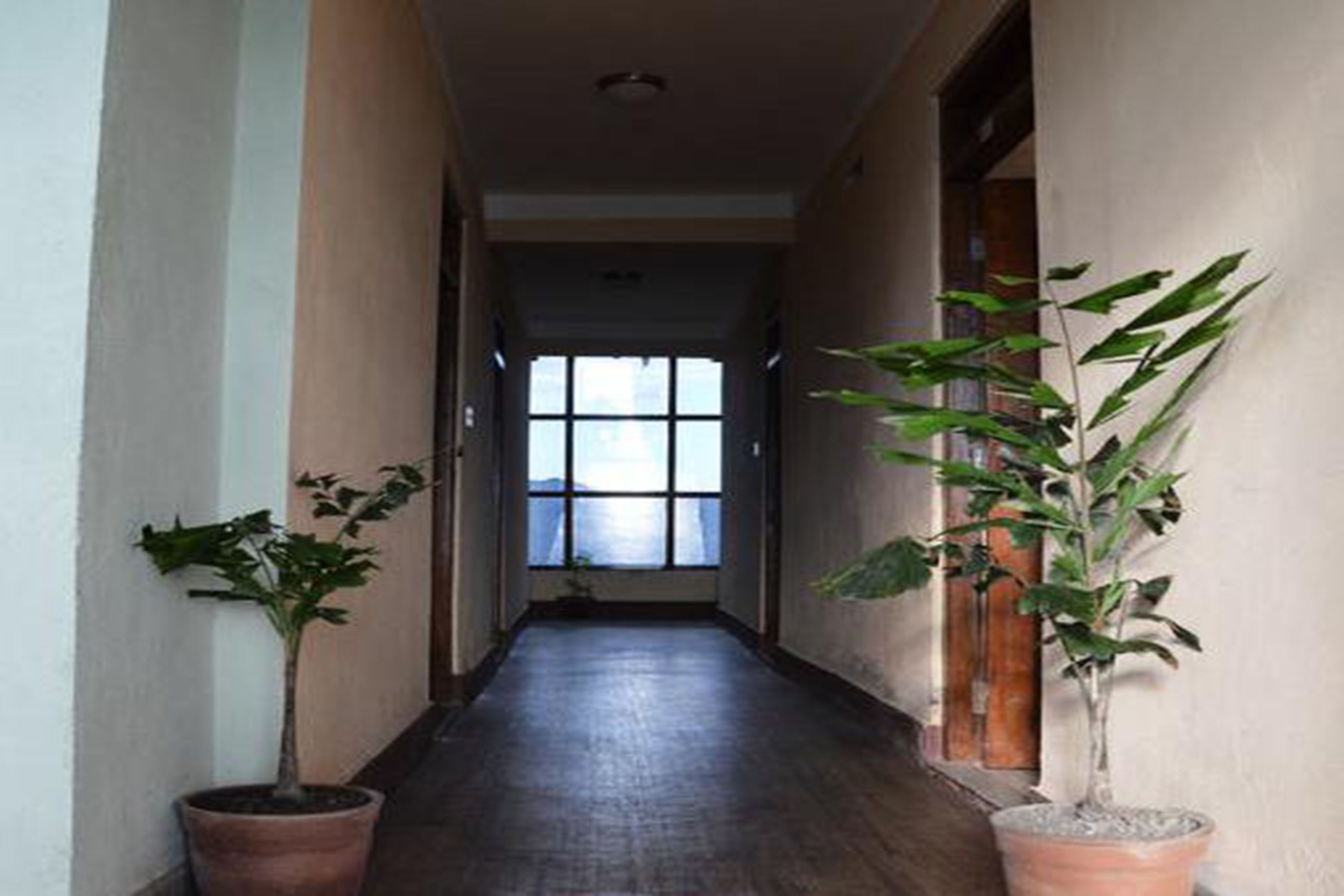 A hallway with two potted plants, a window with a view, and a door at the end.