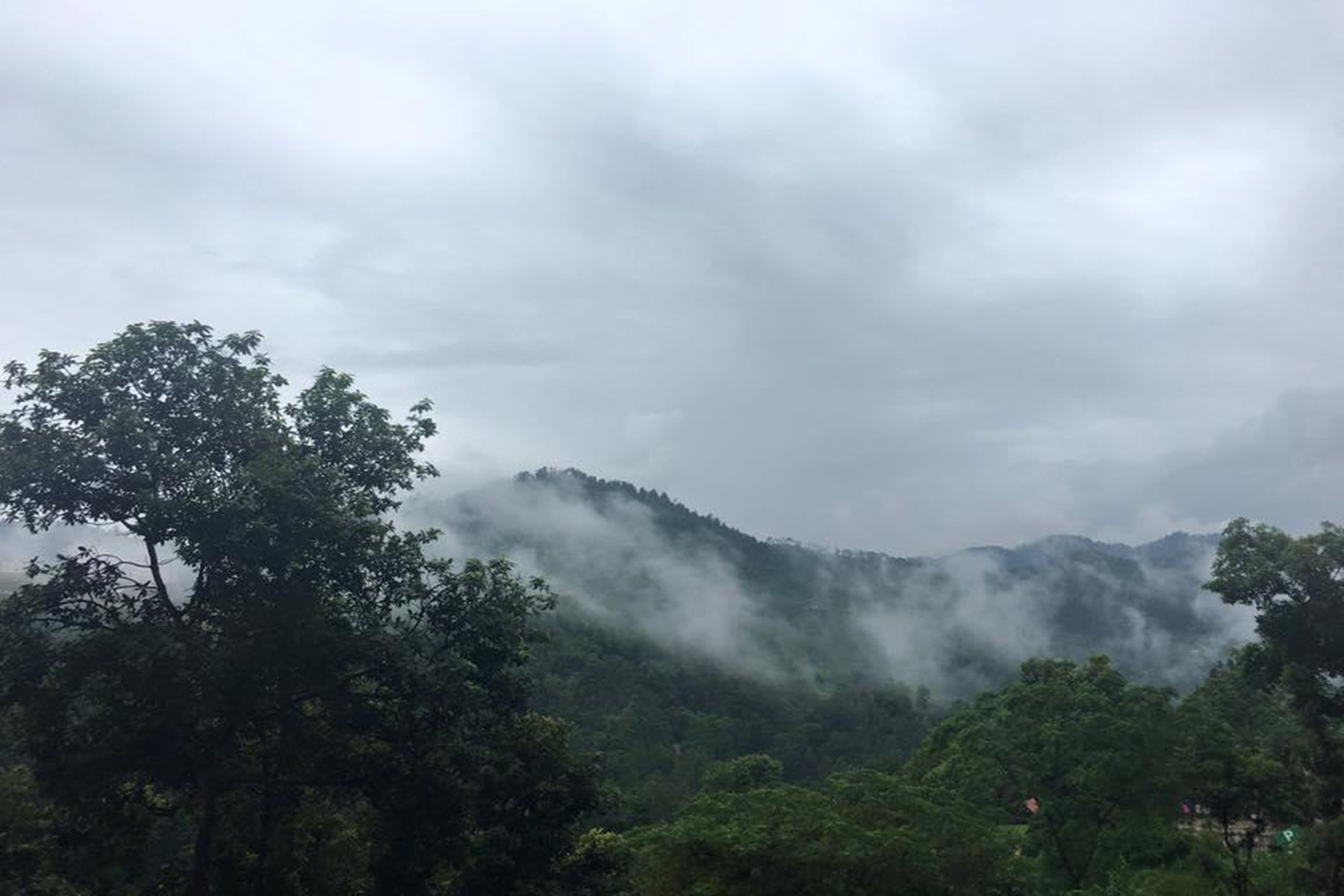 A mountainous landscape with dense forest and mist-covered peaks.