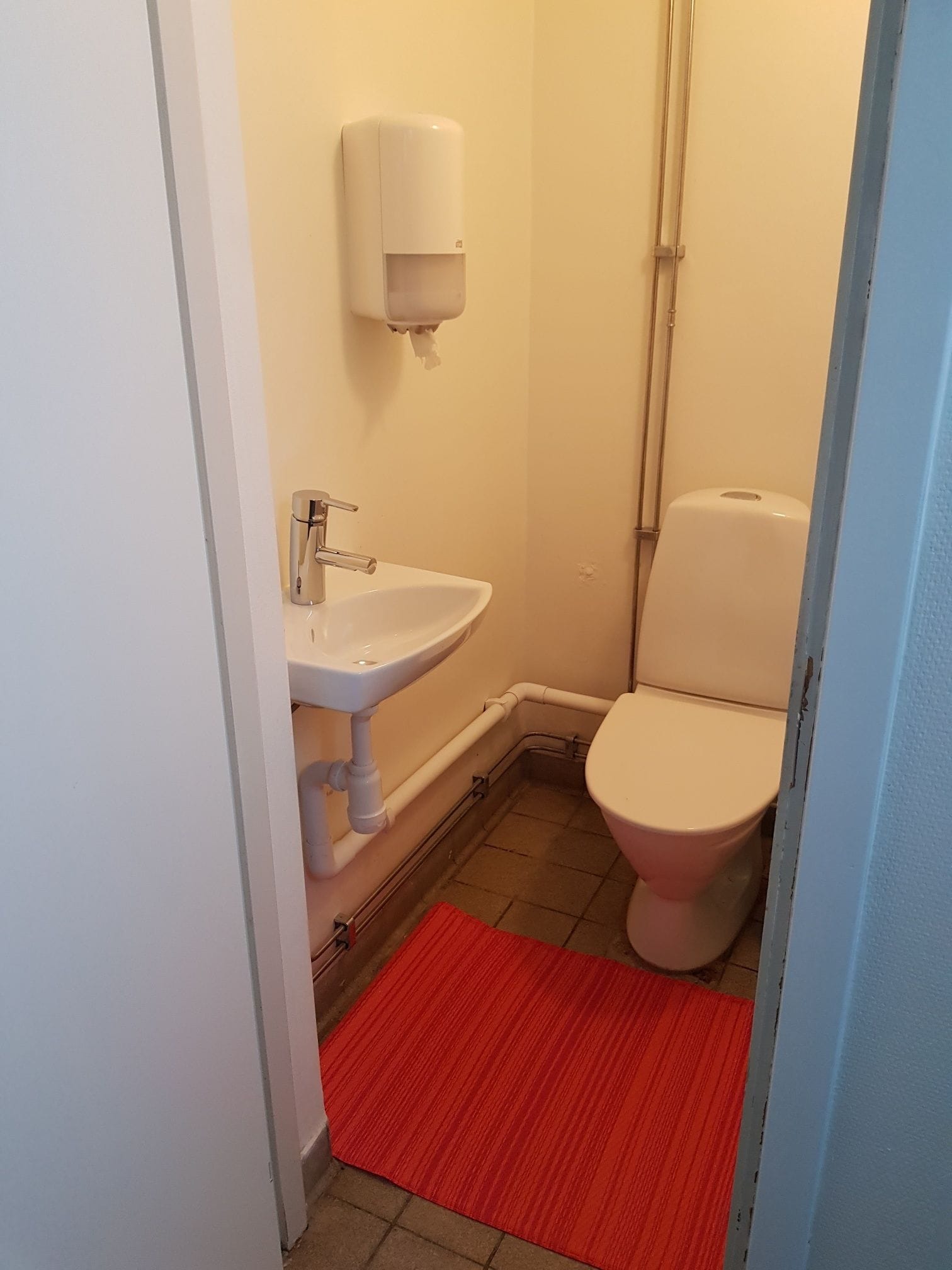 A small bathroom with a white sink, toilet, and a red rug.