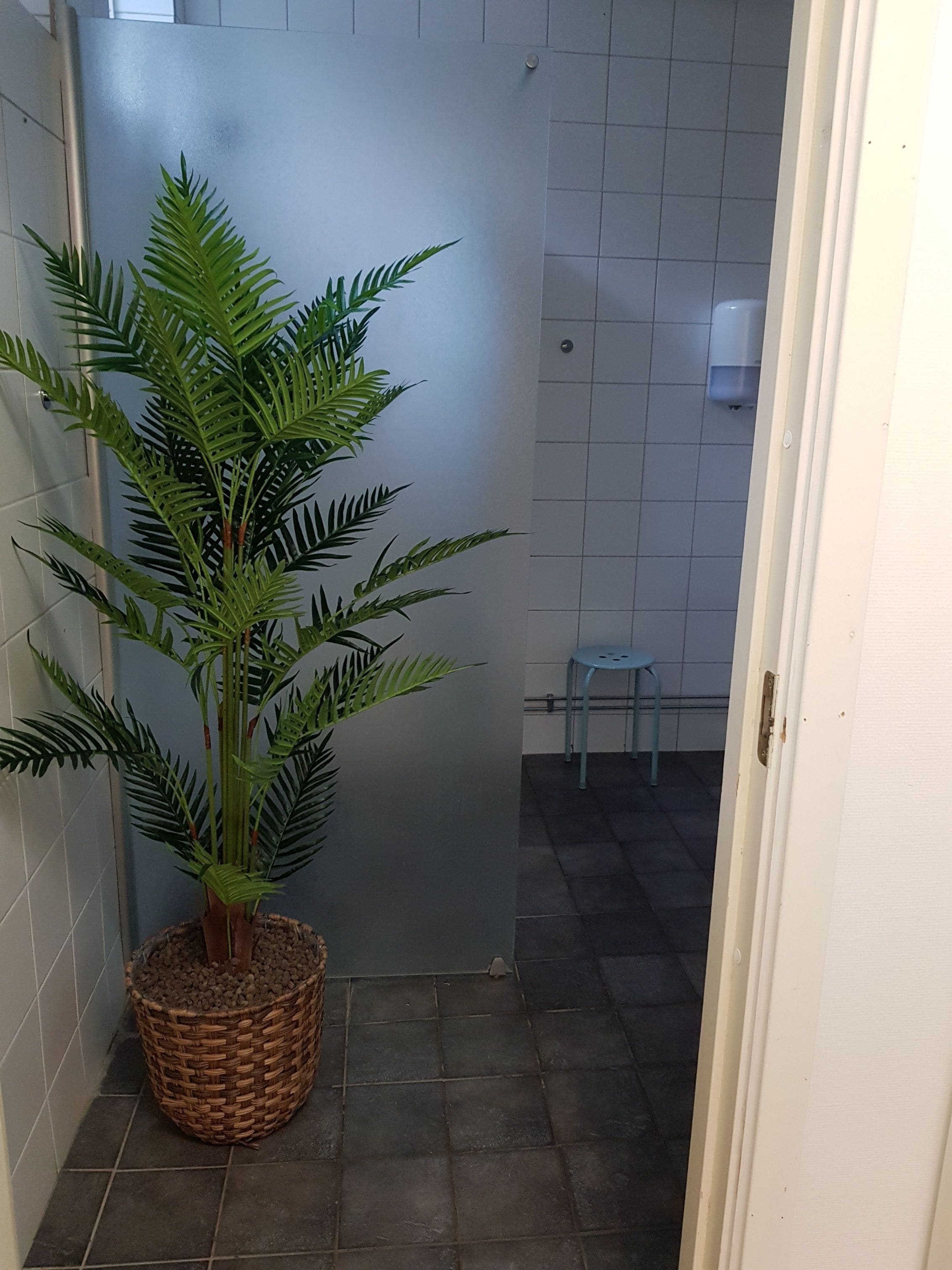 A bathroom with a potted plant, a small stool, and tiled walls.