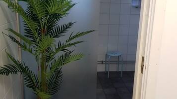 A bathroom with a potted plant, a small stool, and tiled walls.