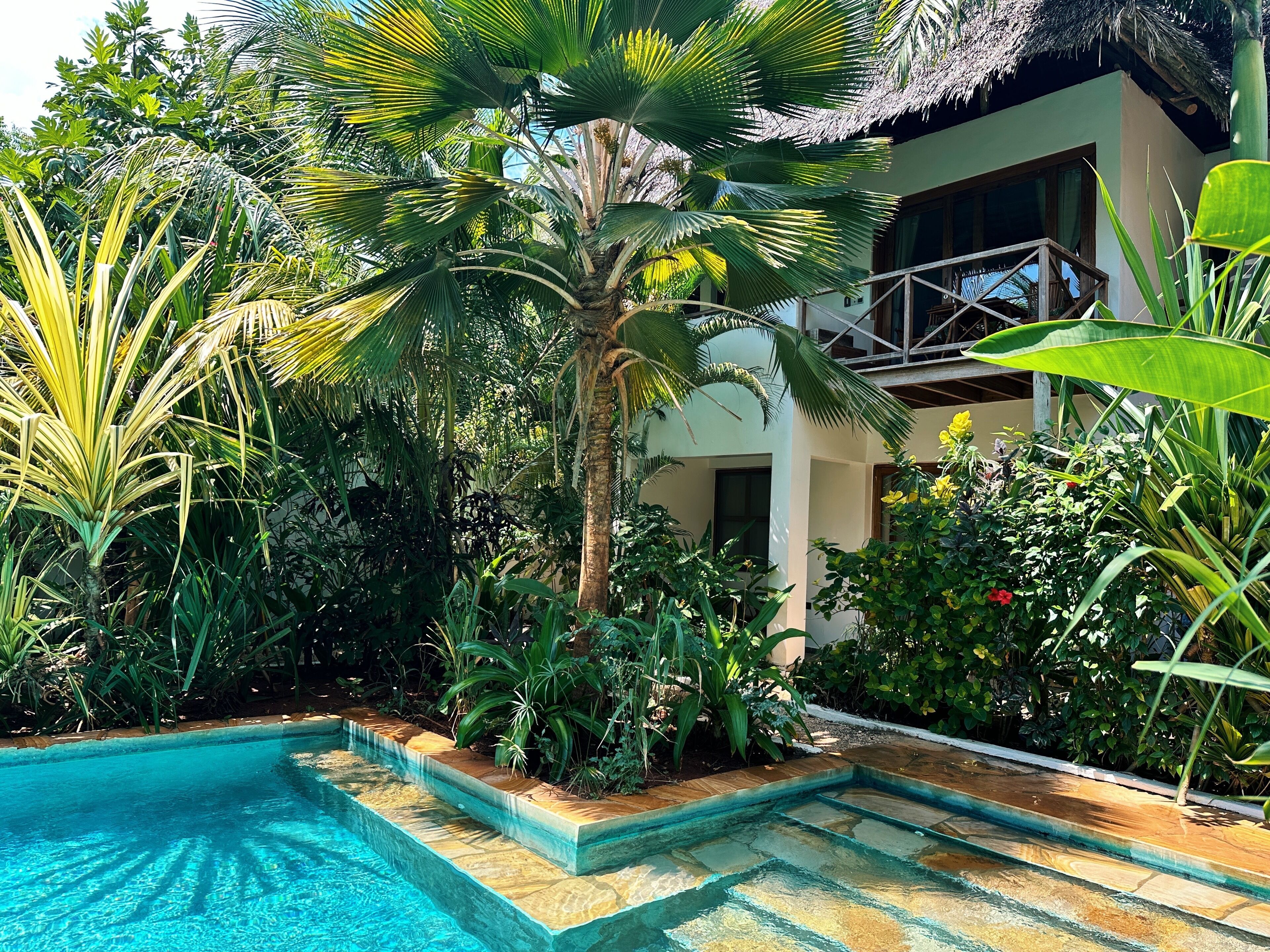 Piscina rodeada por vegetação tropical exuberante e um edifício com varanda.