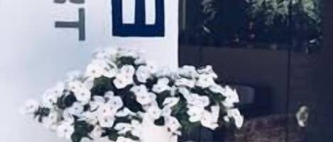 A glass door entrance with the sign "EC3 RESORT" and a white flower arrangement.