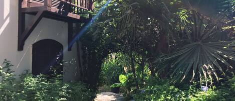En havegang fører til en træbalcon med udsigt over frodig vegetation og et palmetræ.