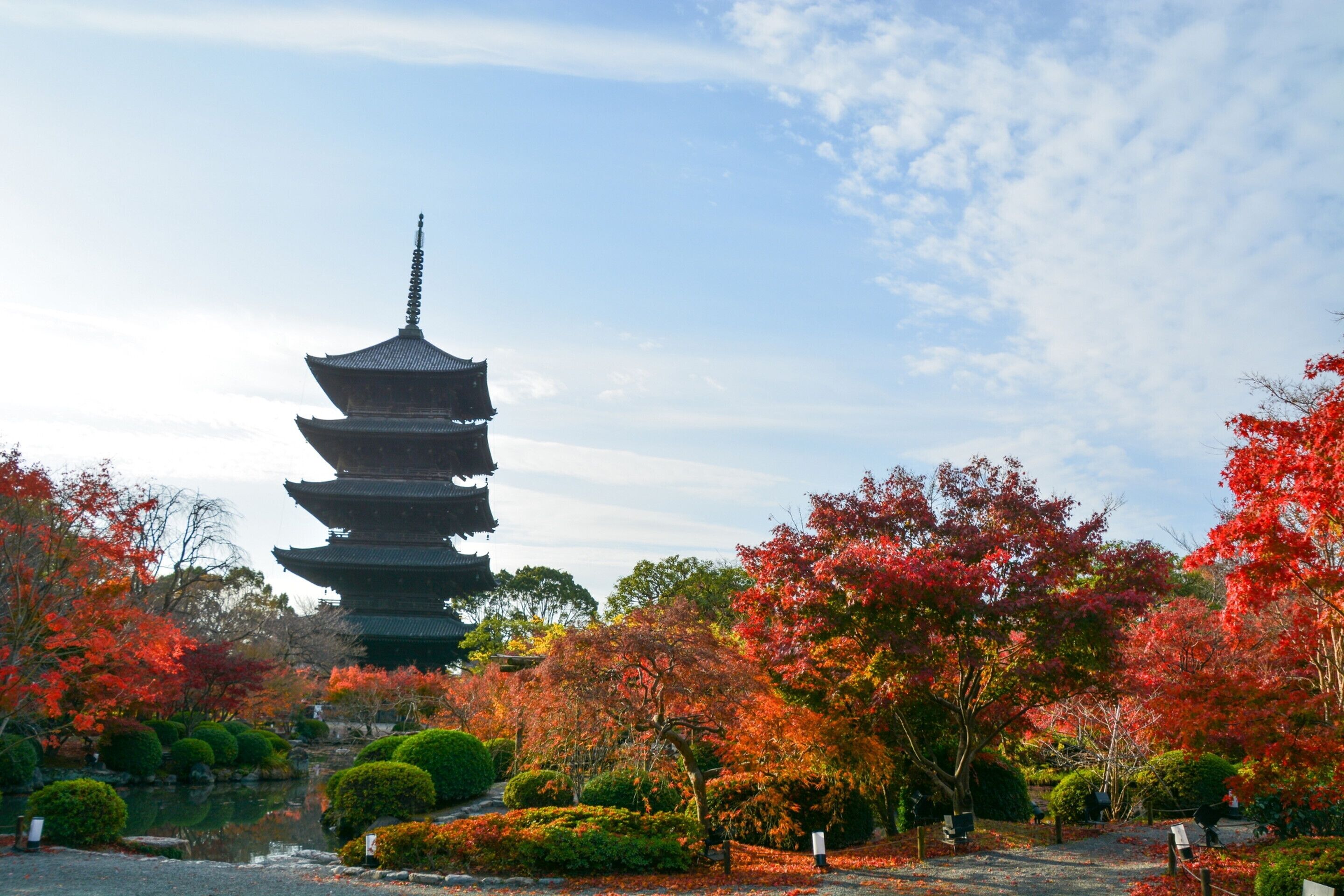 Eine traditionelle japanische Pagode, umgeben von Herbstlaub.
