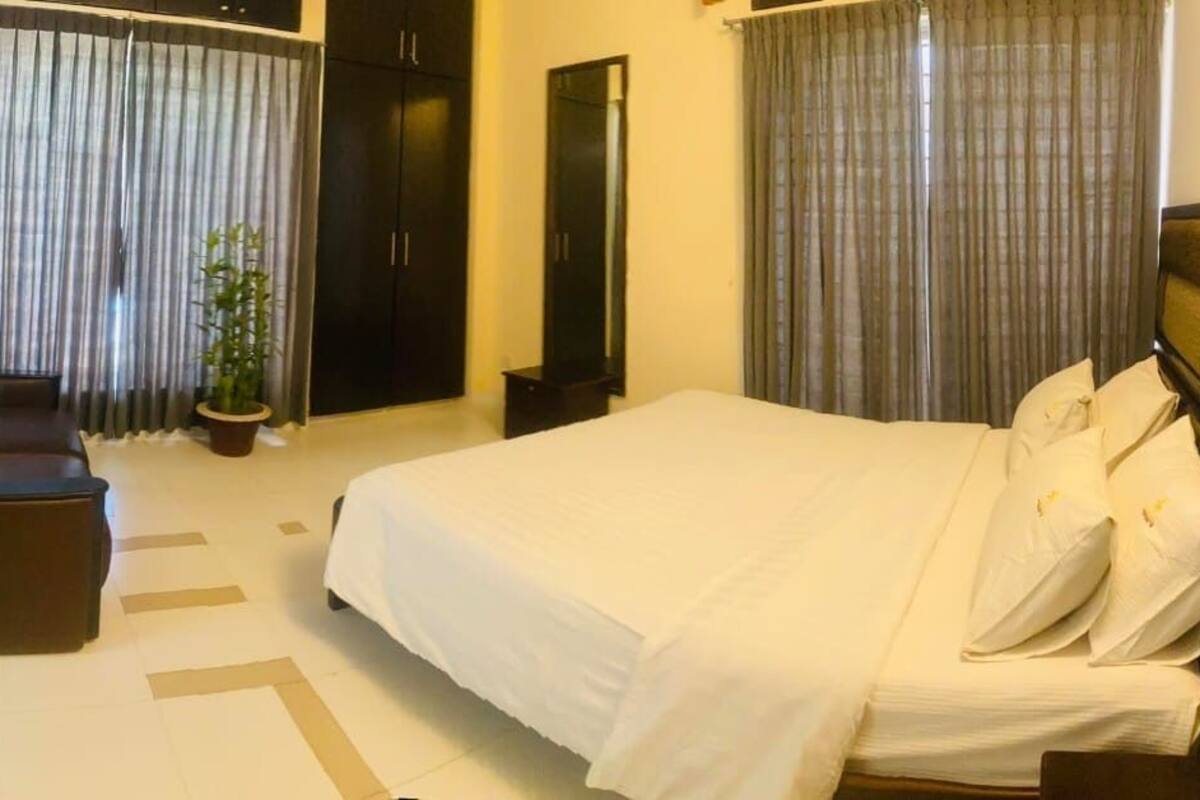 A hotel room with a large bed, a sofa, a mirror, and a potted plant.