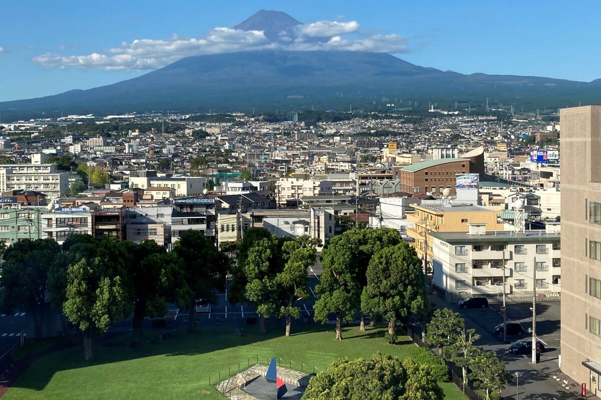 Un paisaje urbano con una montaña destacada al fondo.