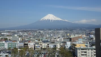 Vista desde la propiedad
