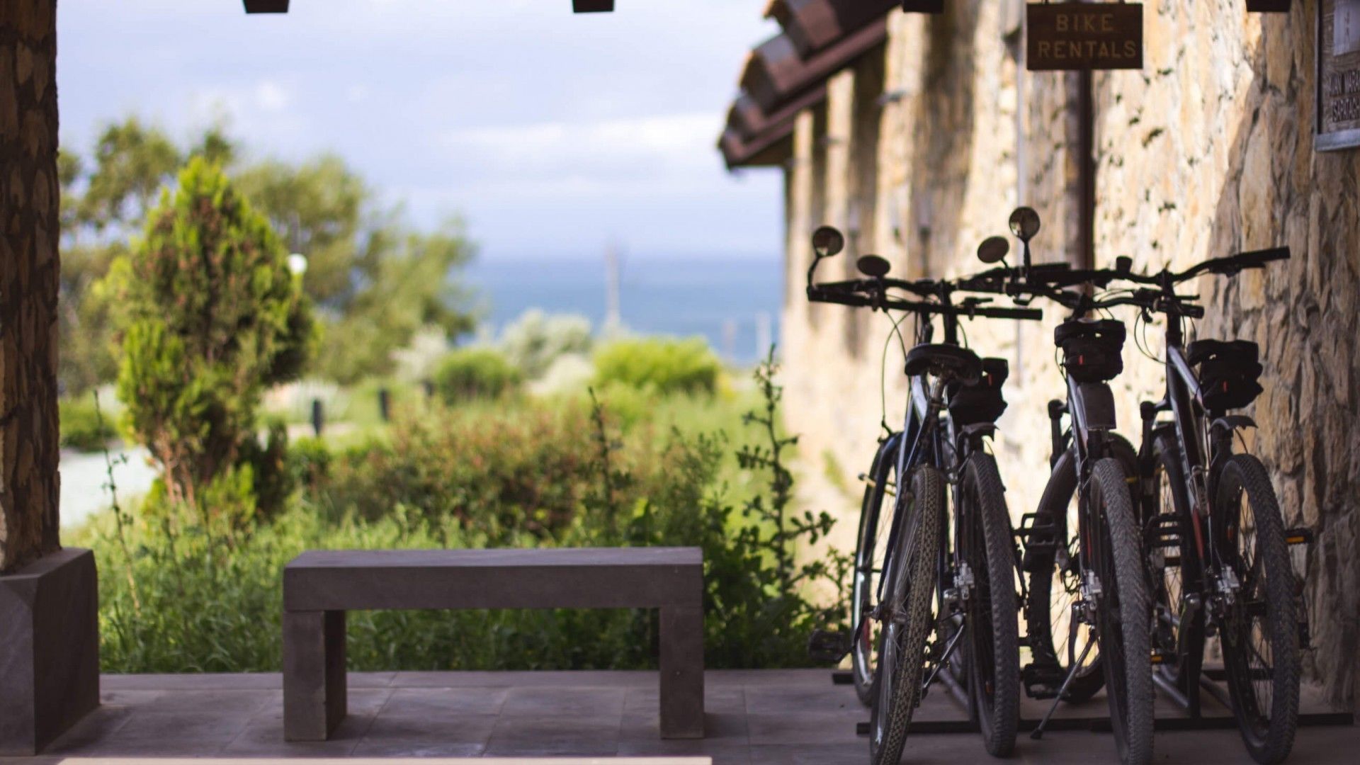 A bench and bicycles parked against a building with a view of greenery and a body of water.