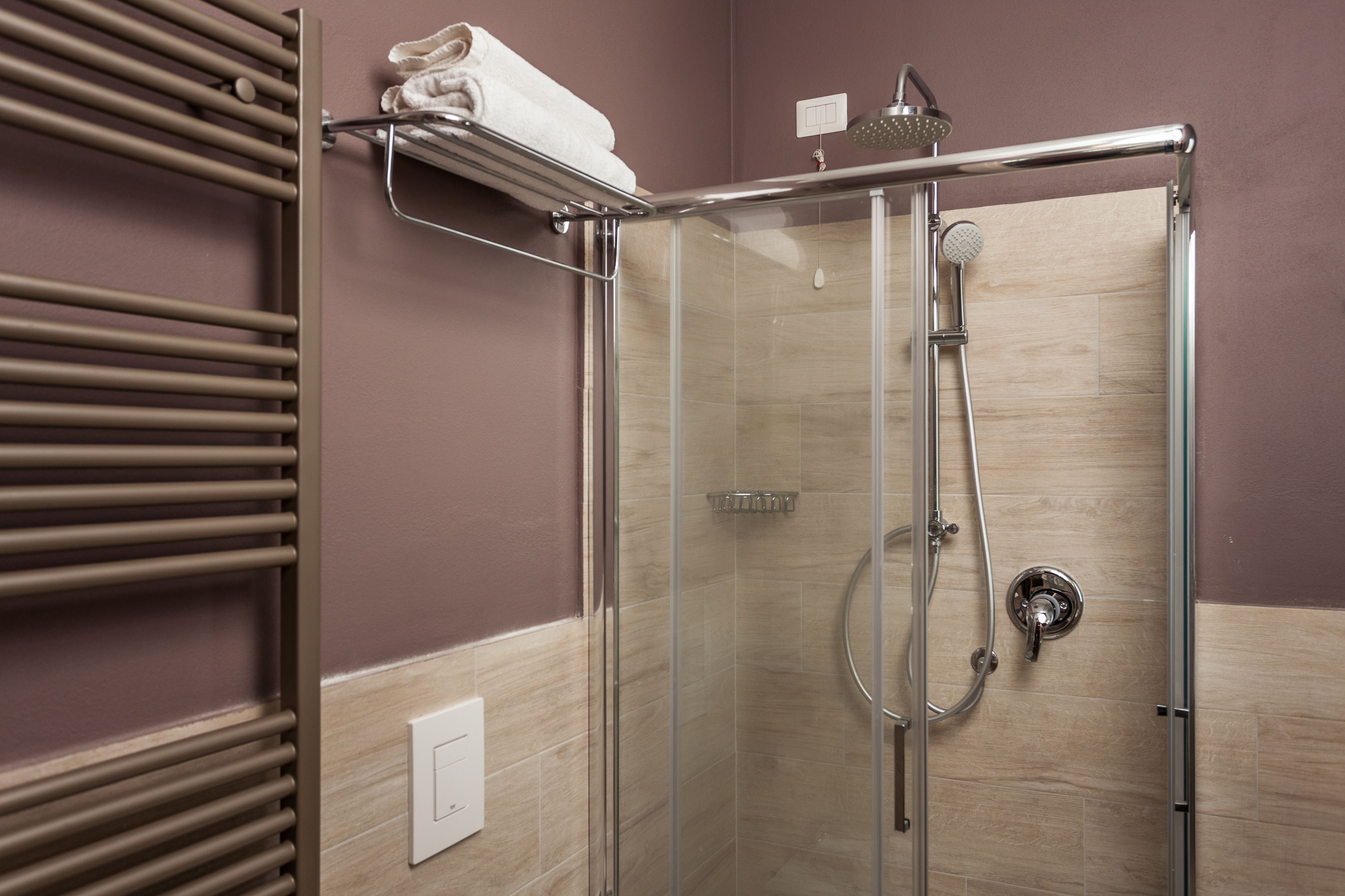 A glass-enclosed shower with a handheld showerhead and a wall-mounted faucet.
