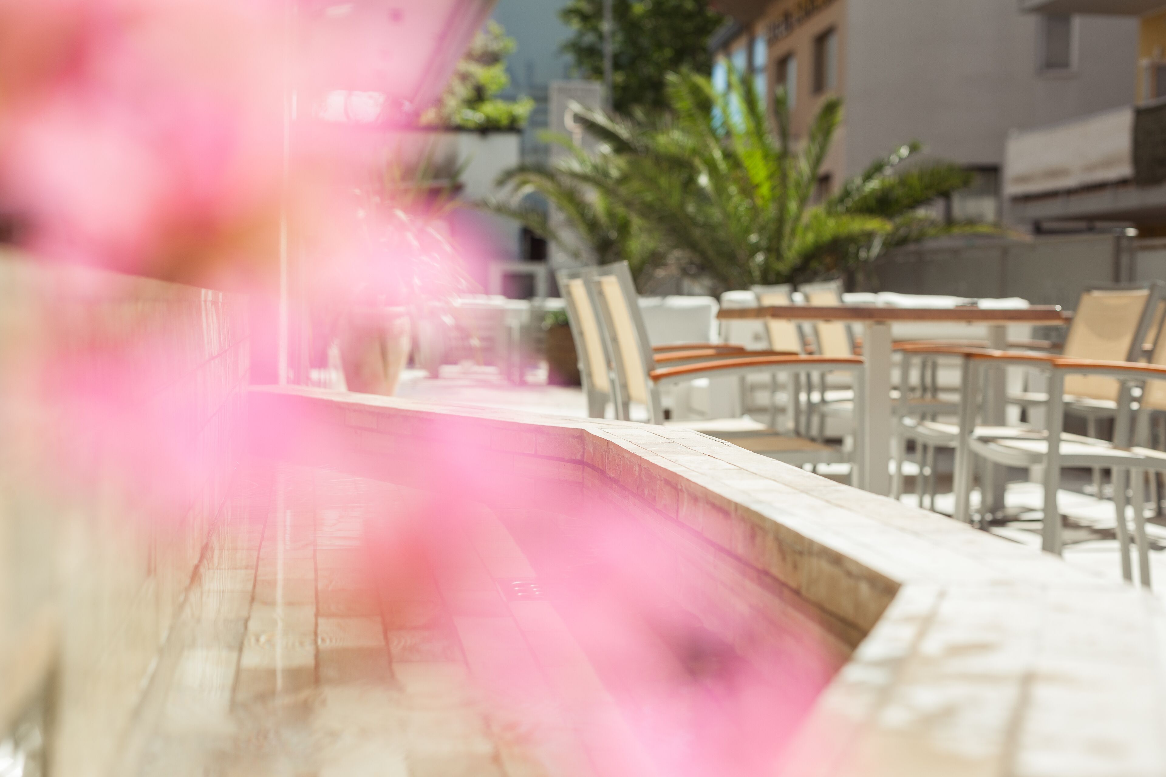 Foto - Hotel Gioia