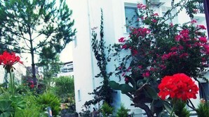A garden with red flowers and green foliage in front of a white building with balconies. - Beste Hotel (Bodrum)