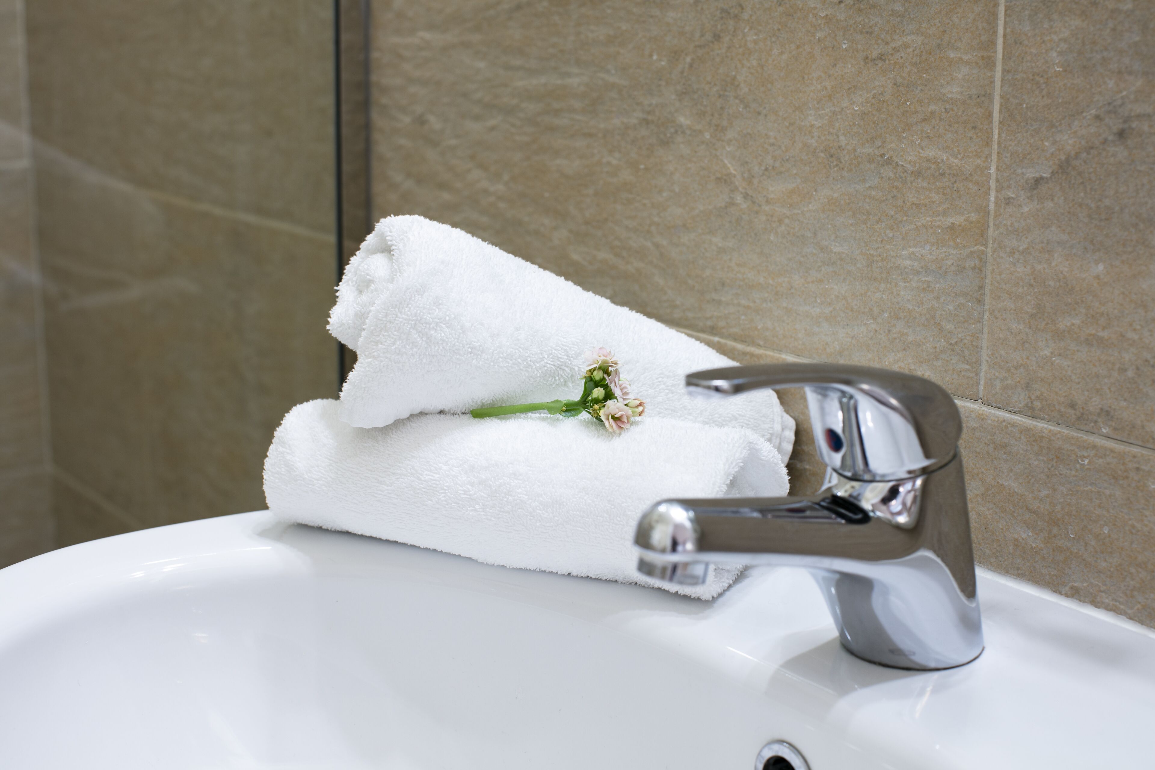 Foto - Mabelle Centro