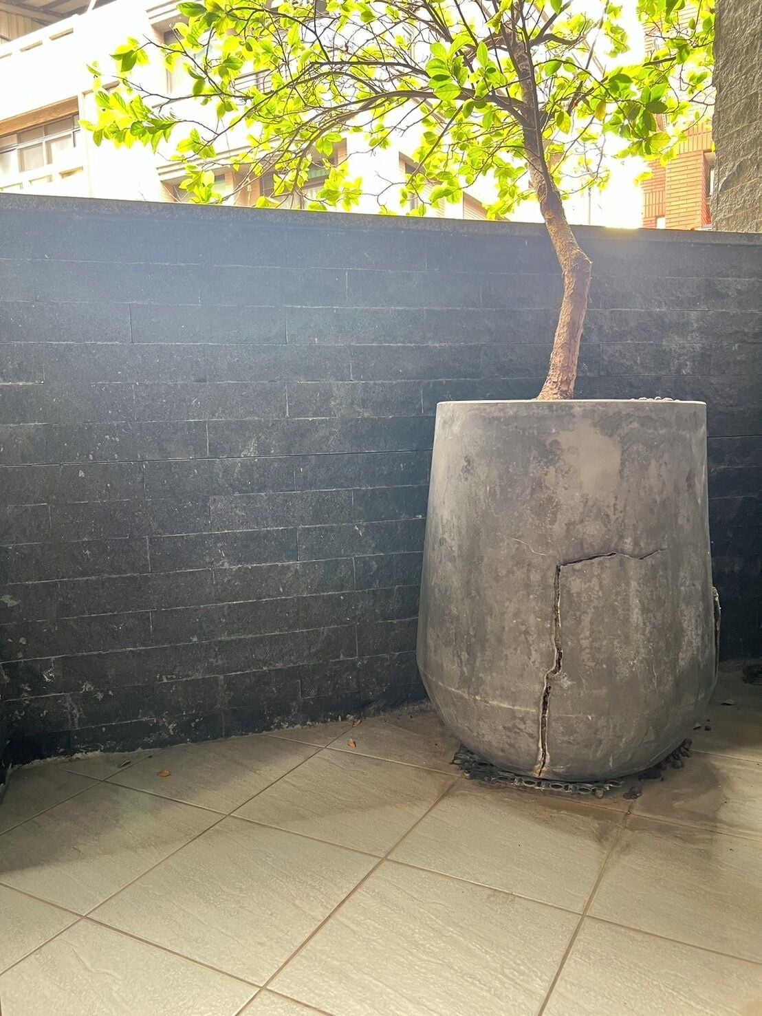 elite double room, 1 bedroom | terrace/patio