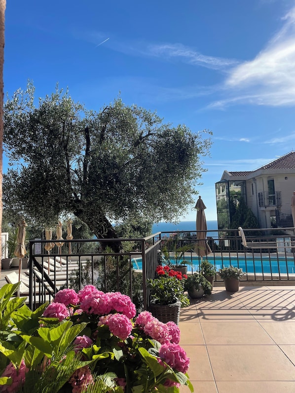 Seasonal outdoor pool, open 10:00 AM to 8:00 PM, pool umbrellas