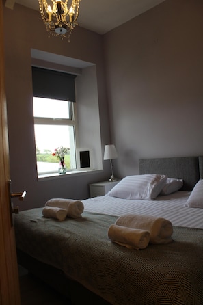 Habitación Confort con 1 cama matrimonial o 2 individuales, baño en la habitación