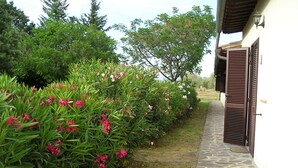 A pathway leading to a building with a stone-tiled entrance and a wooden door. - Agriturismo Benvenuti (Roccastrada)