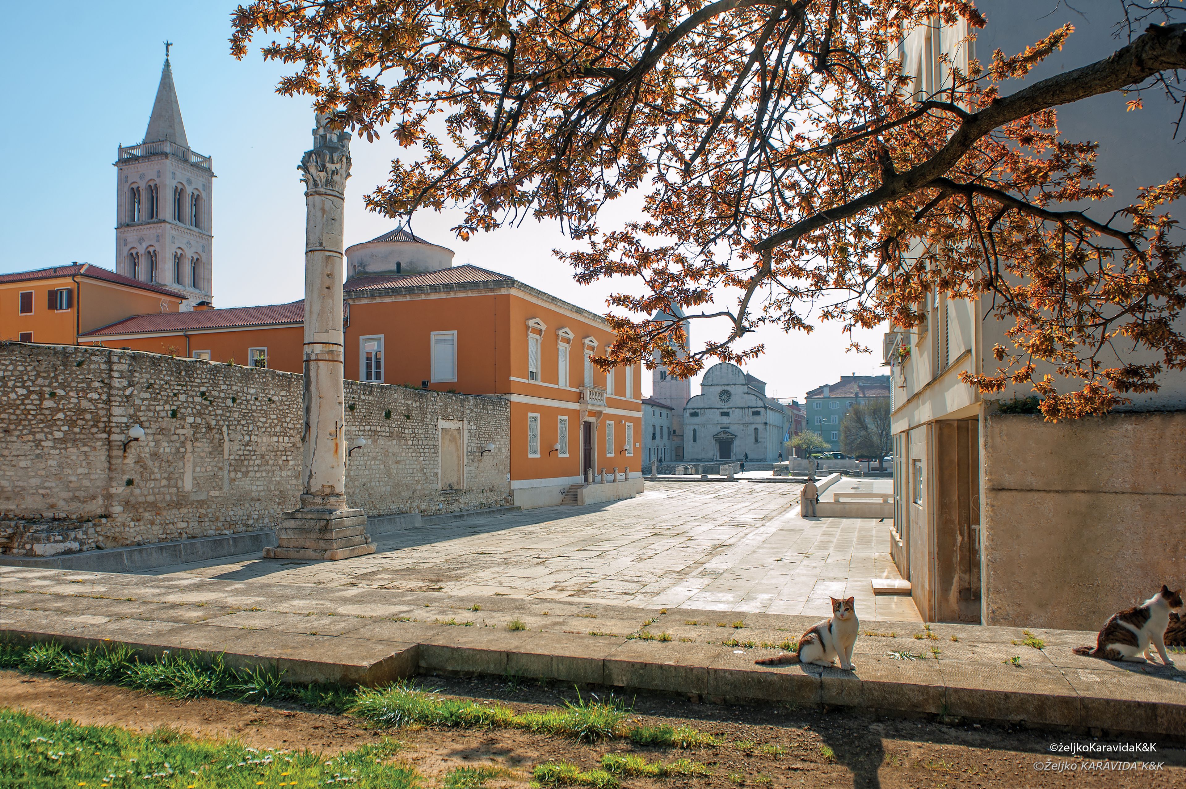 Foto - Luxury rooms Kadena