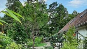 A garden pathway leading to a house with a tiled roof, surrounded by various potted plants and greenery. - Pension Mark (Hoyerswerda)