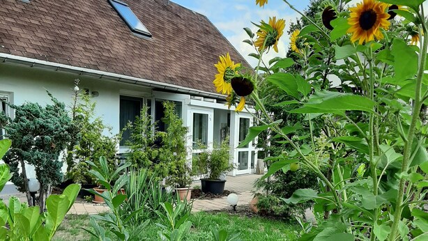 A house with a sloped roof, a porch with white railings, and a garden with various plants and sunflowers. - Pension Mark (Hoyerswerda)