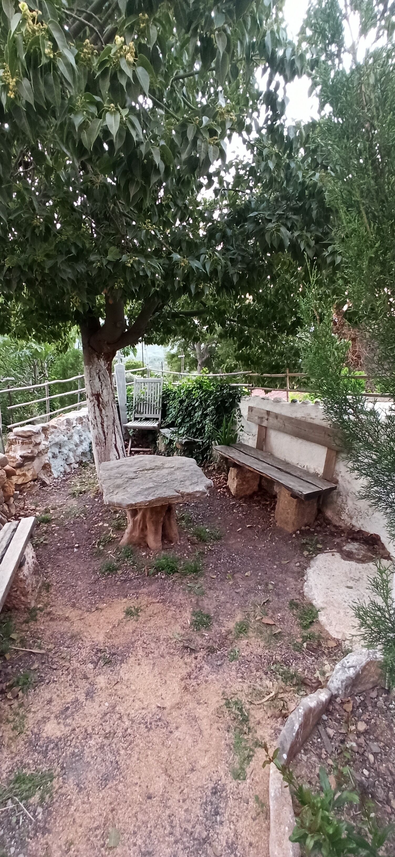 Un área de estar al aire libre rústica, con bancos de piedra y un árbol que da sombra.
