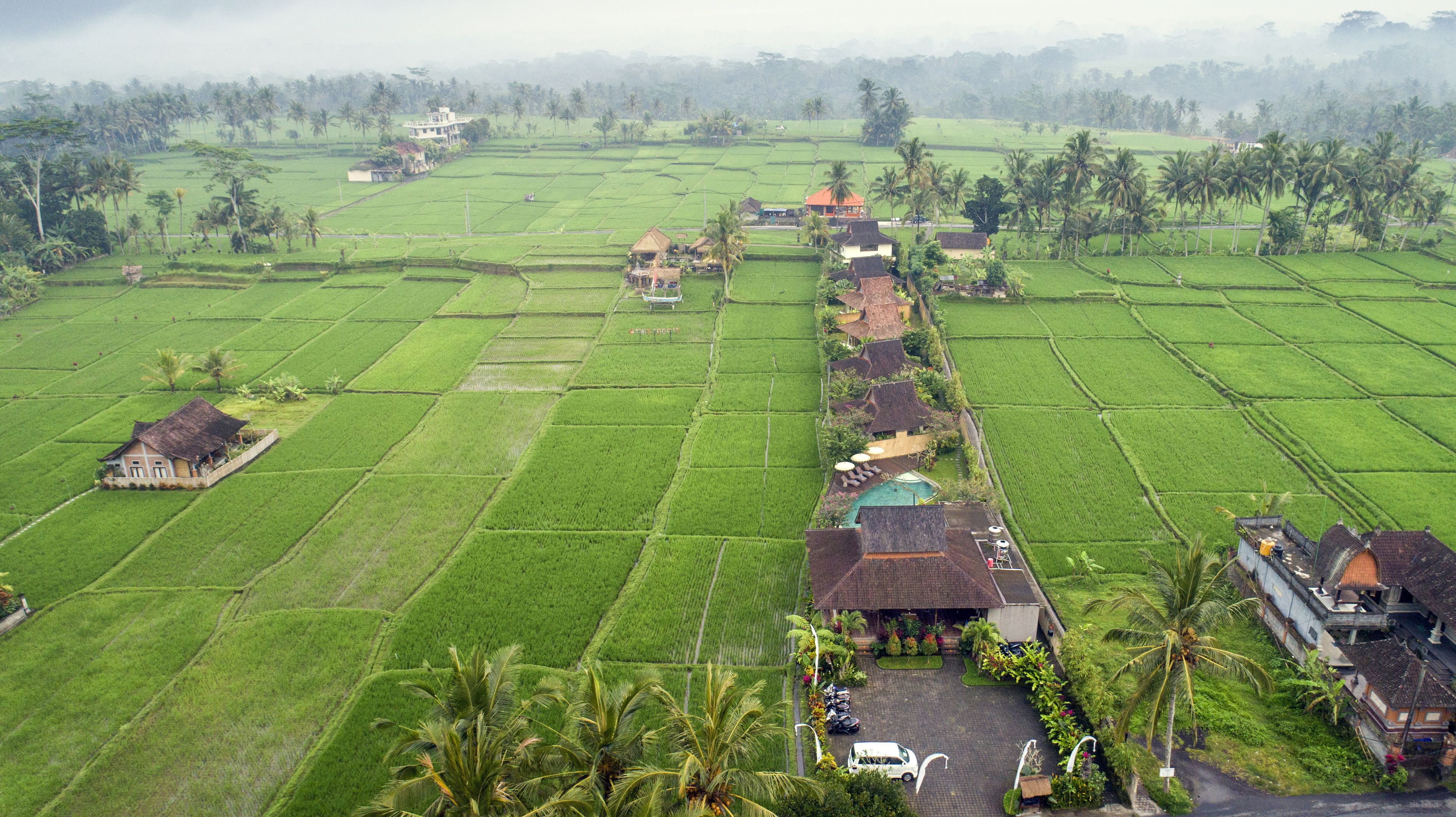 Vista aérea de uma vila rural com campos de arroz em socalcos, casas tradicionais e um edifício central com piscina.