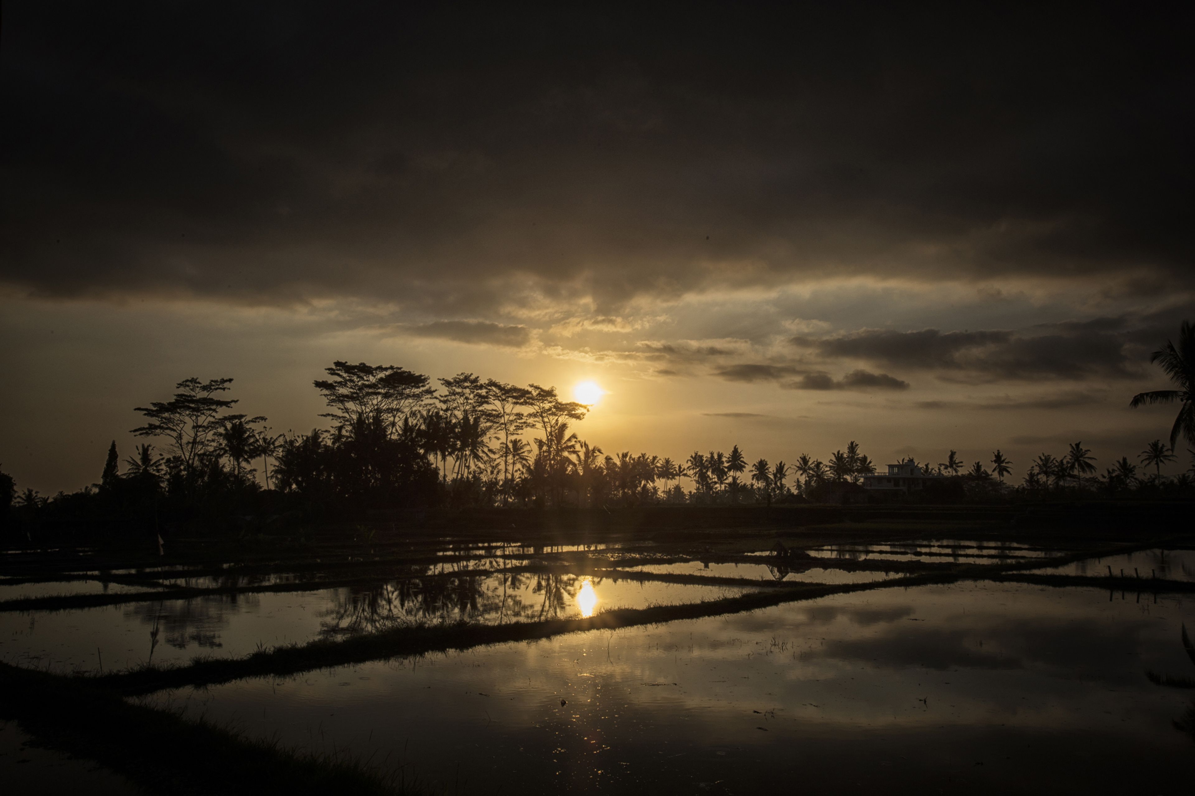 Photo - Kabinawa Ubud Villas by GenuineHost